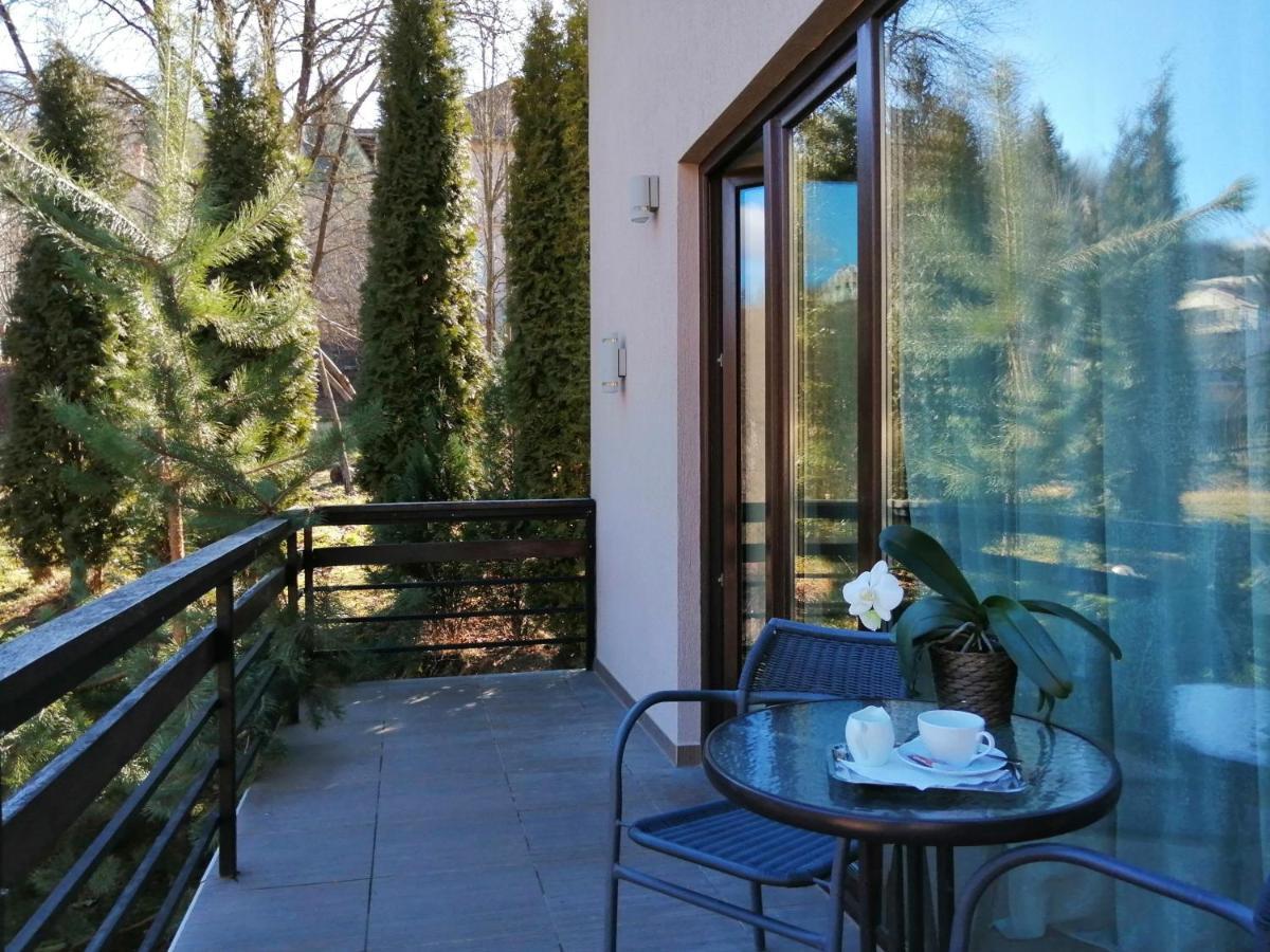 Pensiune Pensiunea Greenhill 4*