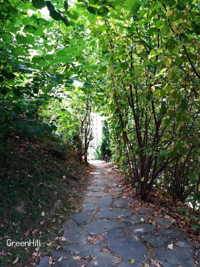 Pensiunea Greenhill Pensiune Brașov