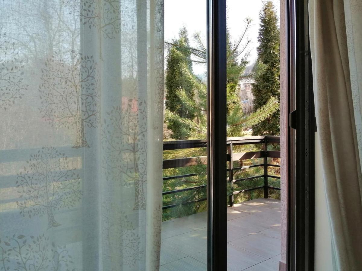 Pensiunea Greenhill Pensiune Brașov