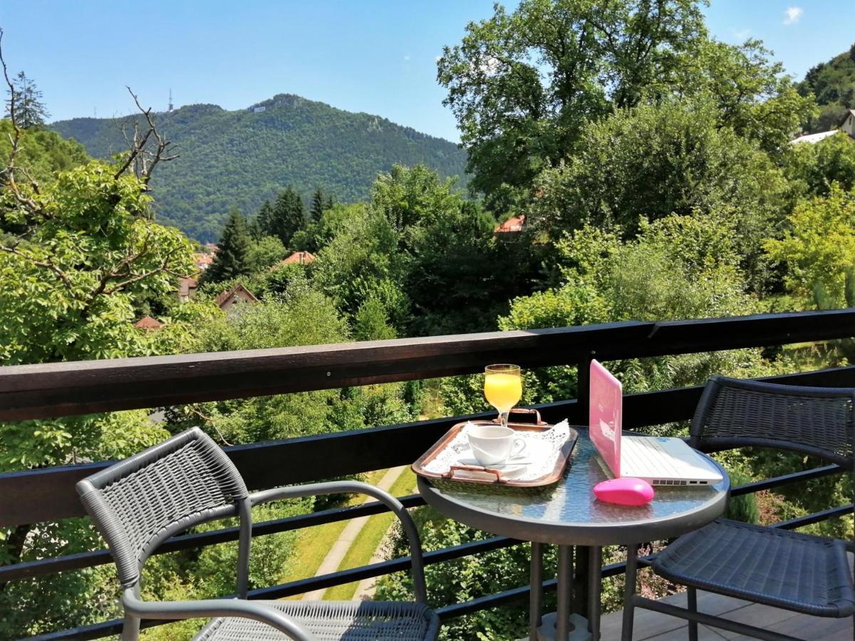 Greenhill Guest house Brasov