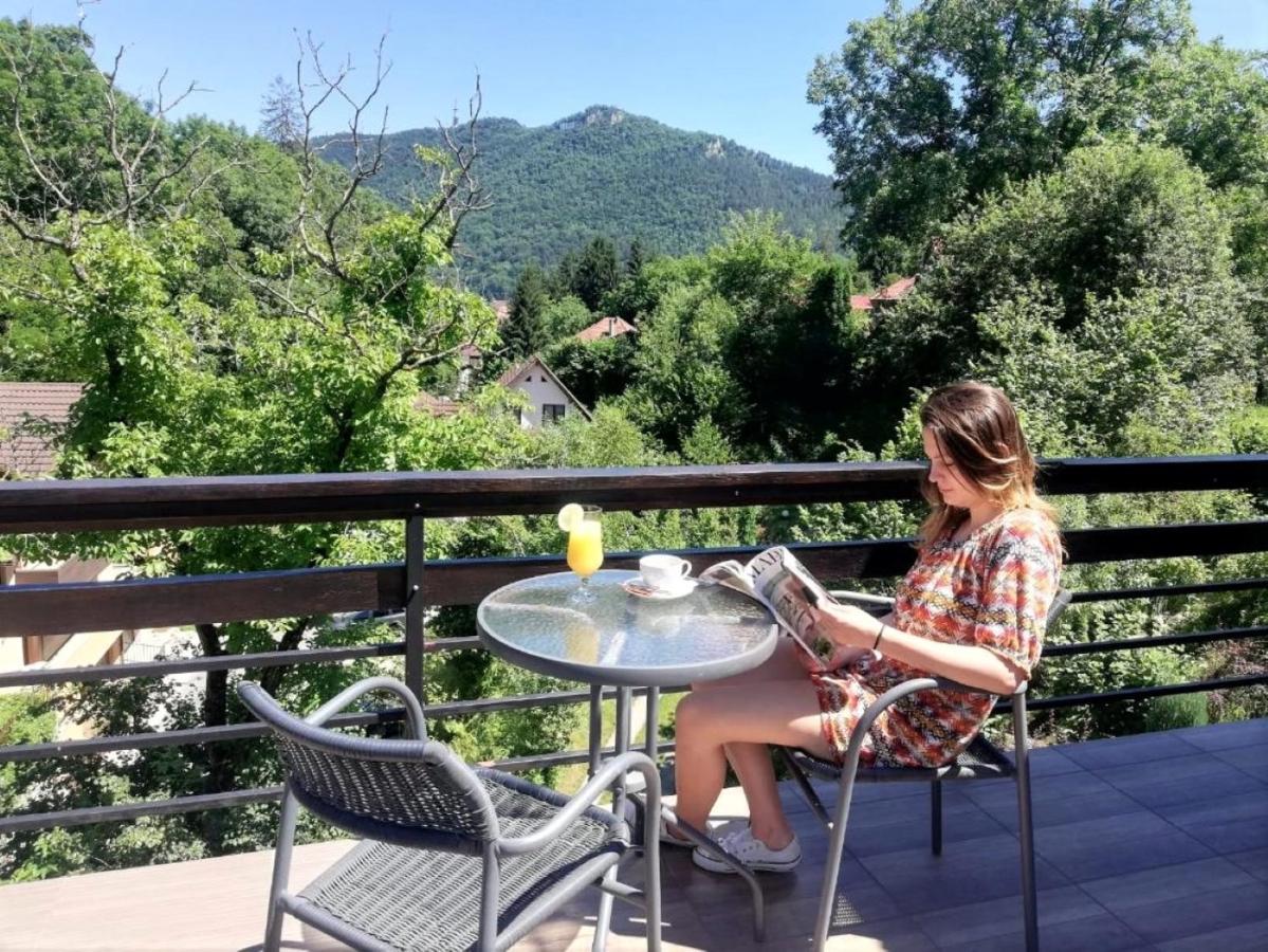 Guest house Greenhill Brasov