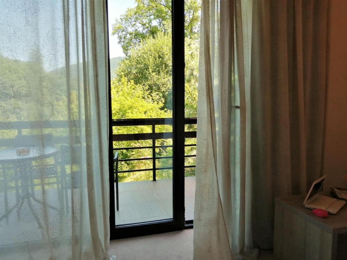 Pensiune Pensiunea Greenhill 4*