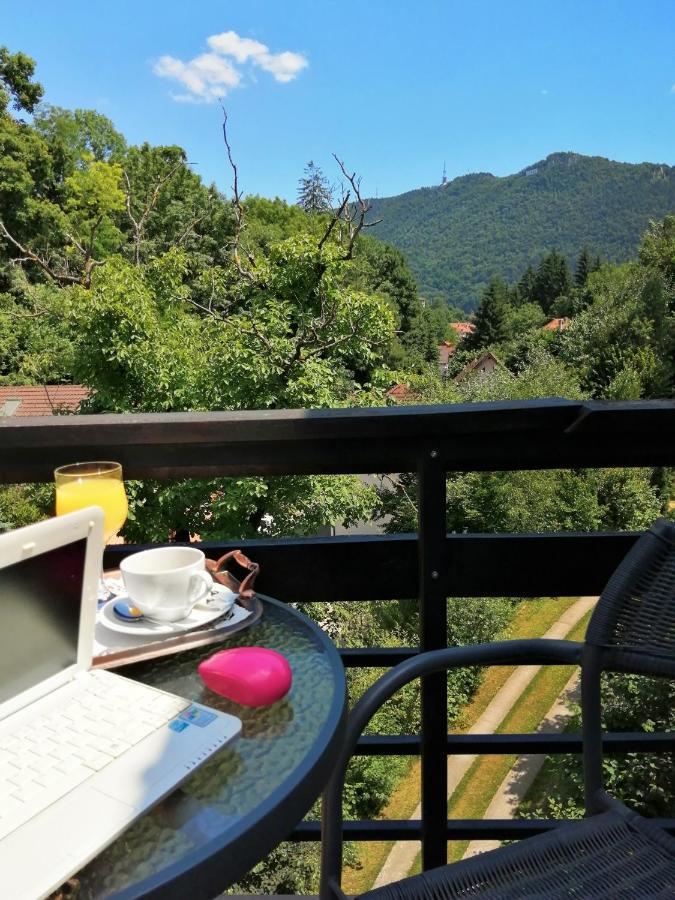 Pensiunea Greenhill Pensiune 4*