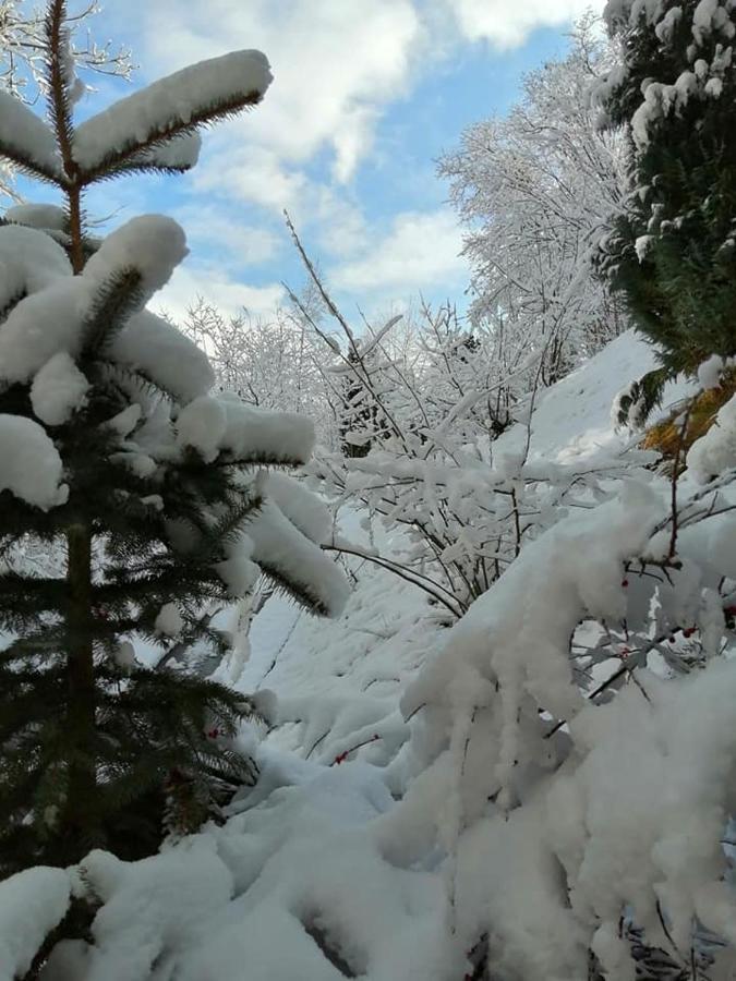 Greenhill 4* Brasov