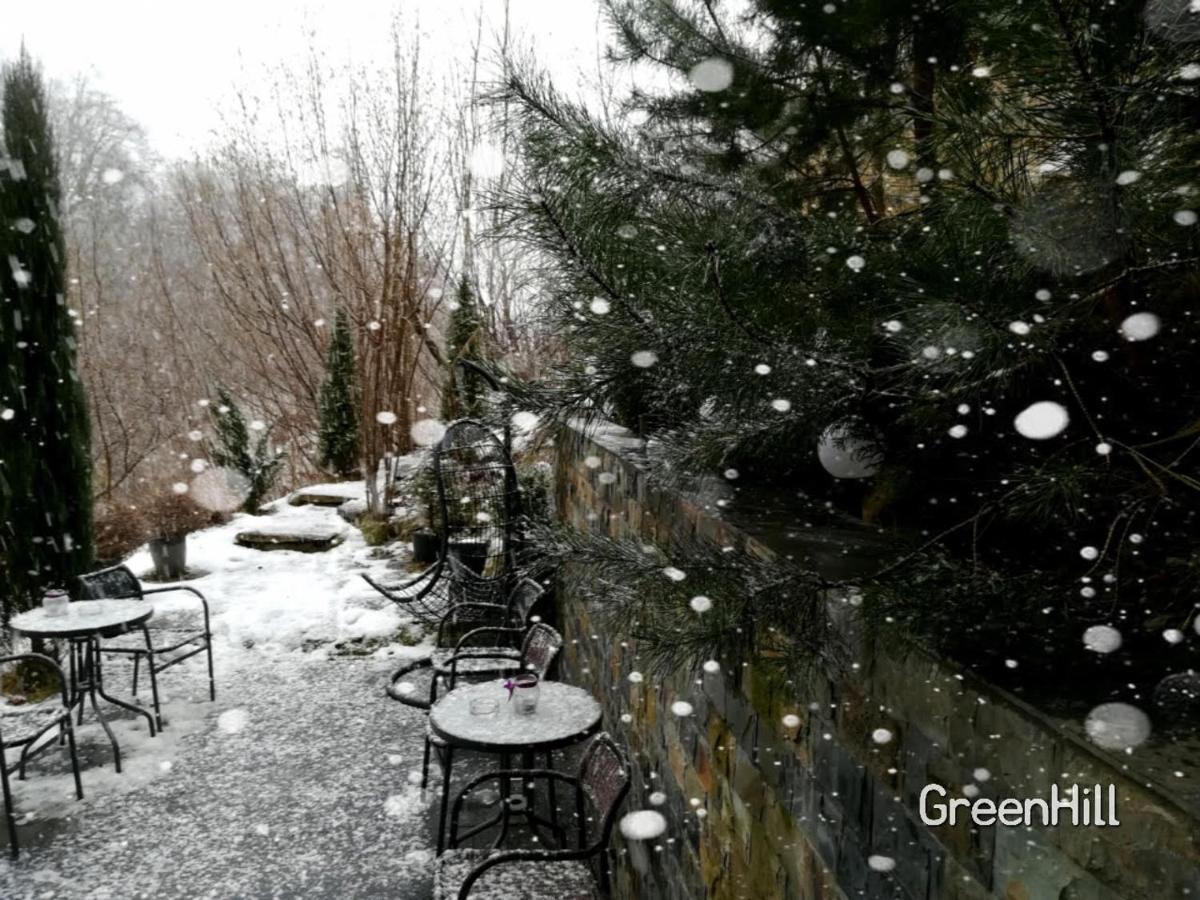 Pensiunea Greenhill Pensiune 4*