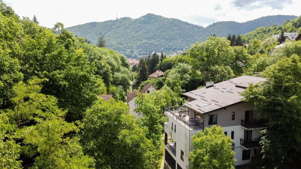 Pensiune Pensiunea Greenhill