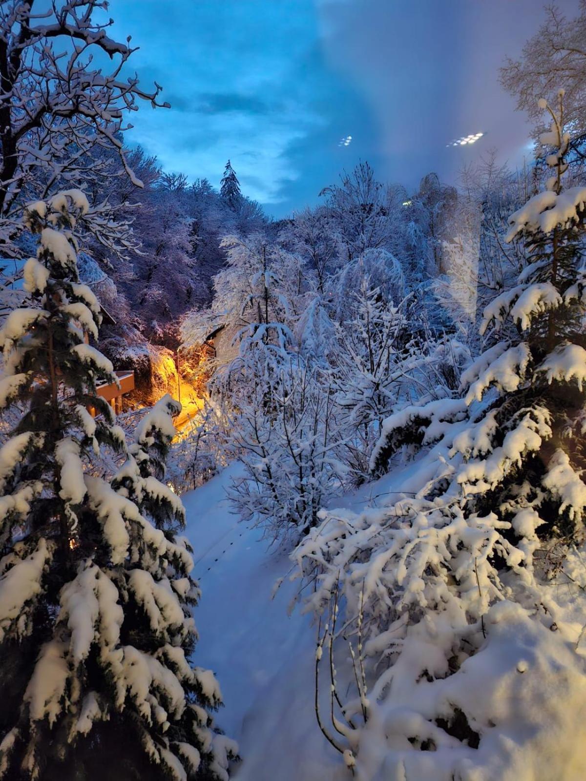 Pensiunea Greenhill Brașov