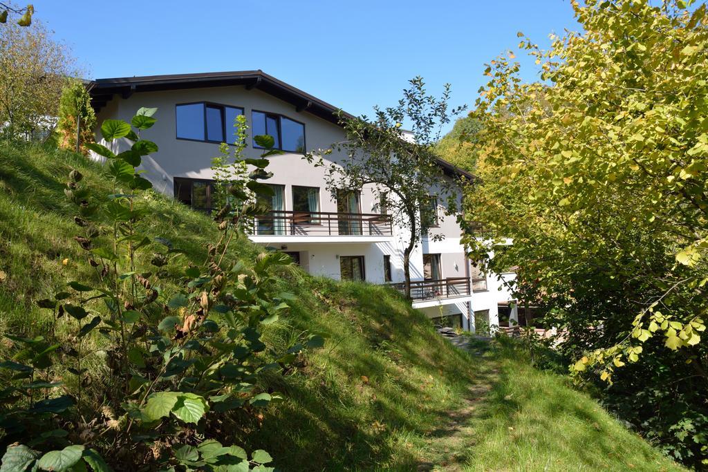 Pensiunea Greenhill 4* Brașov